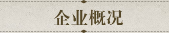 企业概况
